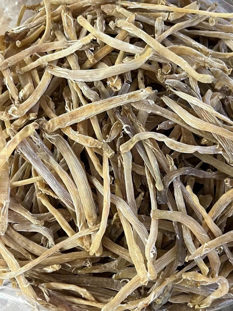 湛江本地沙虫干大头数