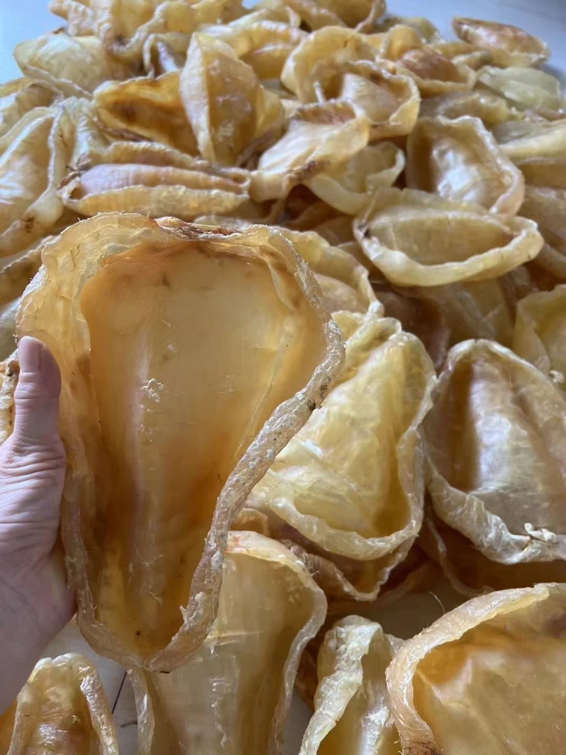 所有老胶改链接价格