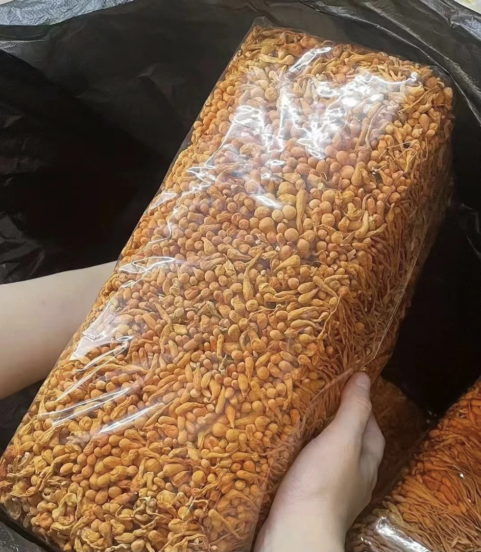 虫草花煮汤很鲜甜甜