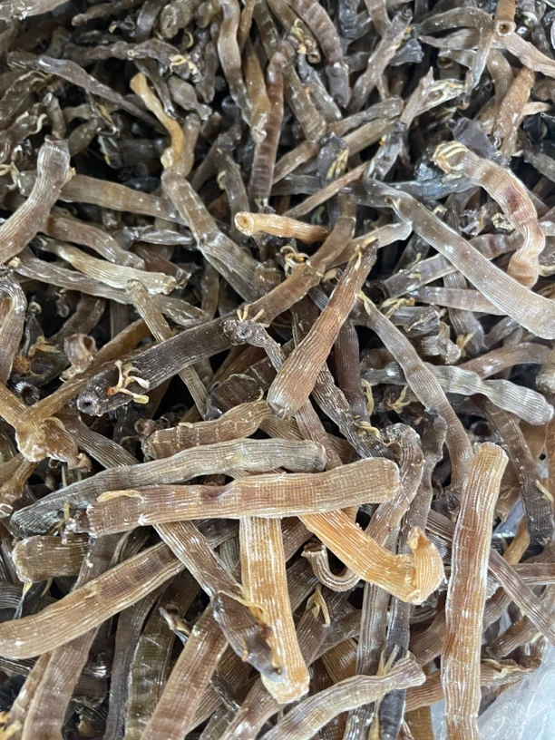 湛江本地沙虫干货可以煮粥煮汤好鲜甜