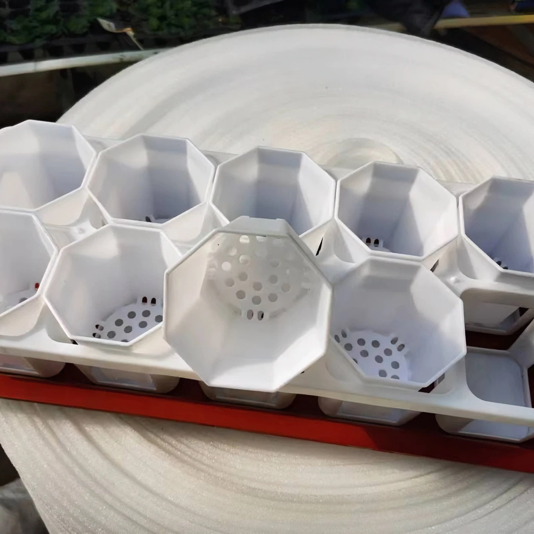 扦插专用小盆套装花盆塑料简约