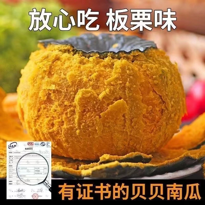 【粉糯香甜】正宗真贝贝南瓜板栗味小南瓜孕妇宝宝辅食老南瓜5斤