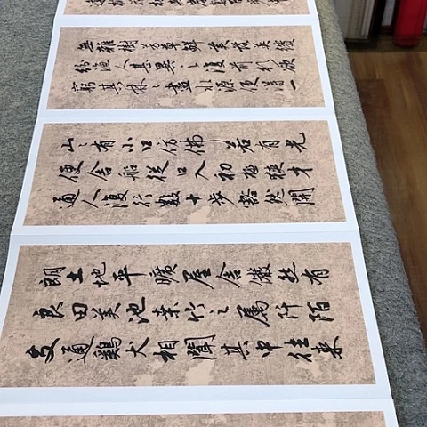 扇子陈****)桃花源记行书册页作品