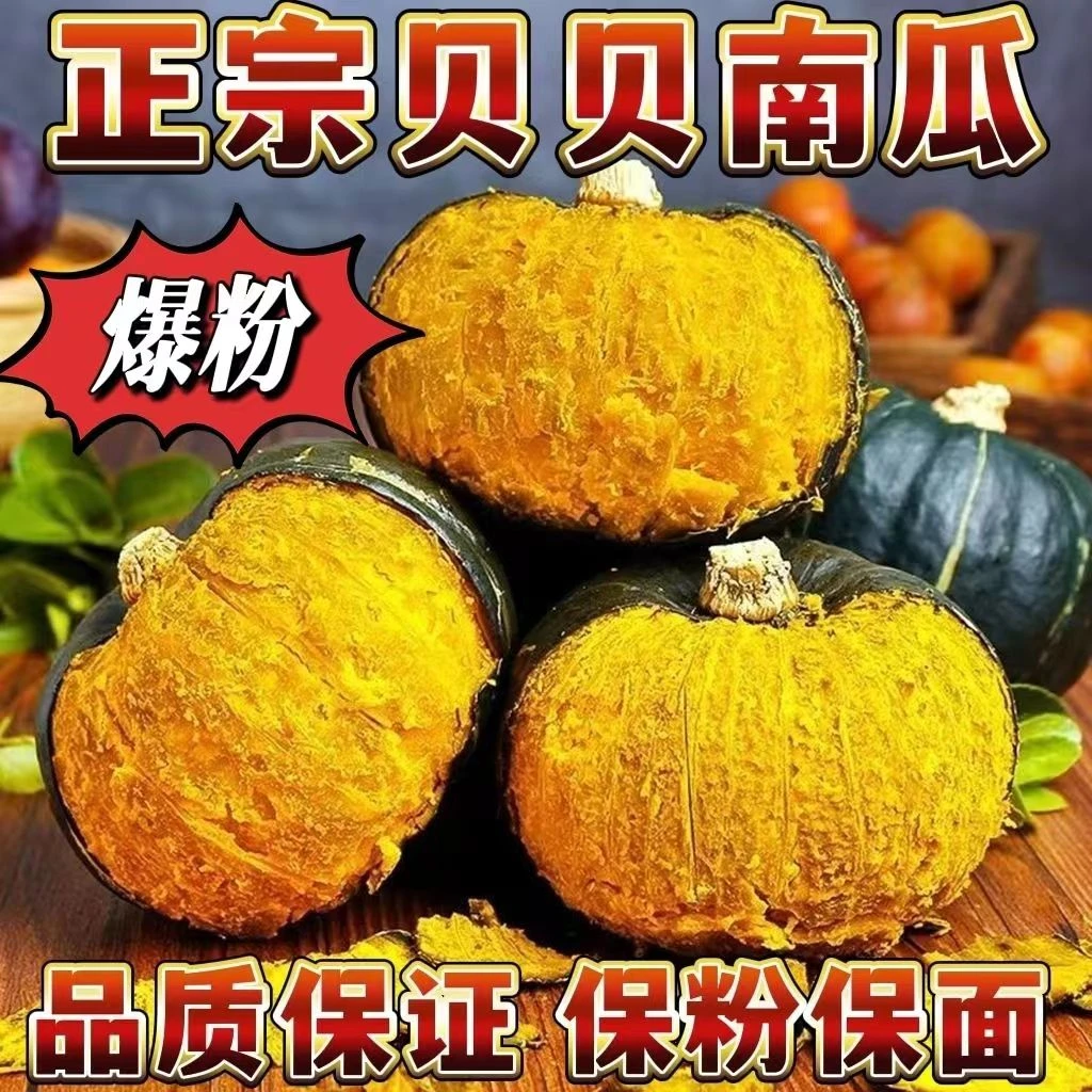【粉糯香甜】5斤贝贝南瓜板栗味小南瓜正宗真老1斤宝宝辅食
