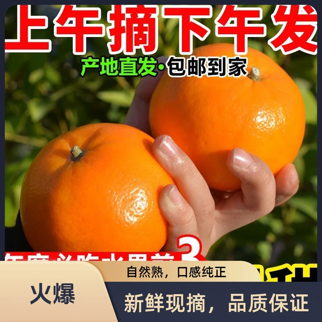 【现摘精选】正宗广西武鸣沃柑超甜产地直发当季新鲜水果橘子