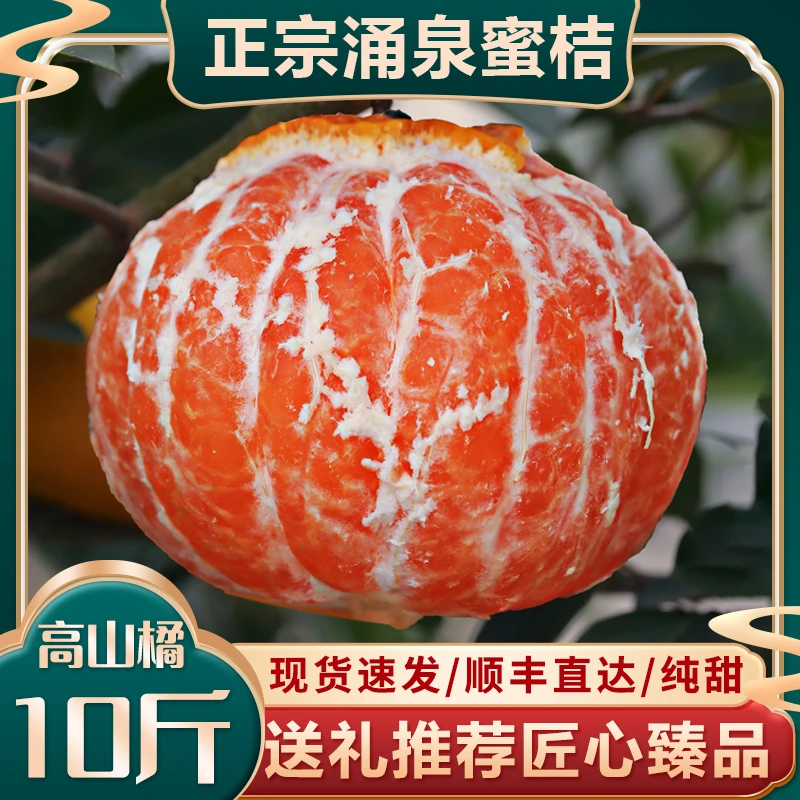 送礼临海涌泉蜜桔优质新鲜10斤纯甜无籽皮薄多汁优选优质现摘现发