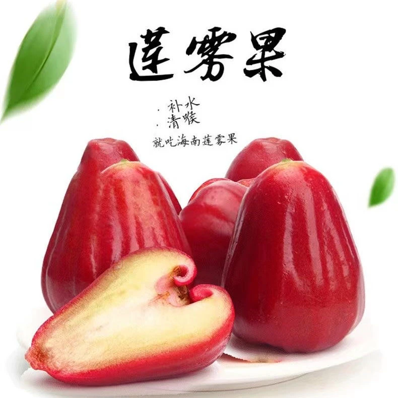 【顺丰包邮】海南当季新鲜莲雾果优质水果黑金刚莲雾低糖水果1/3斤