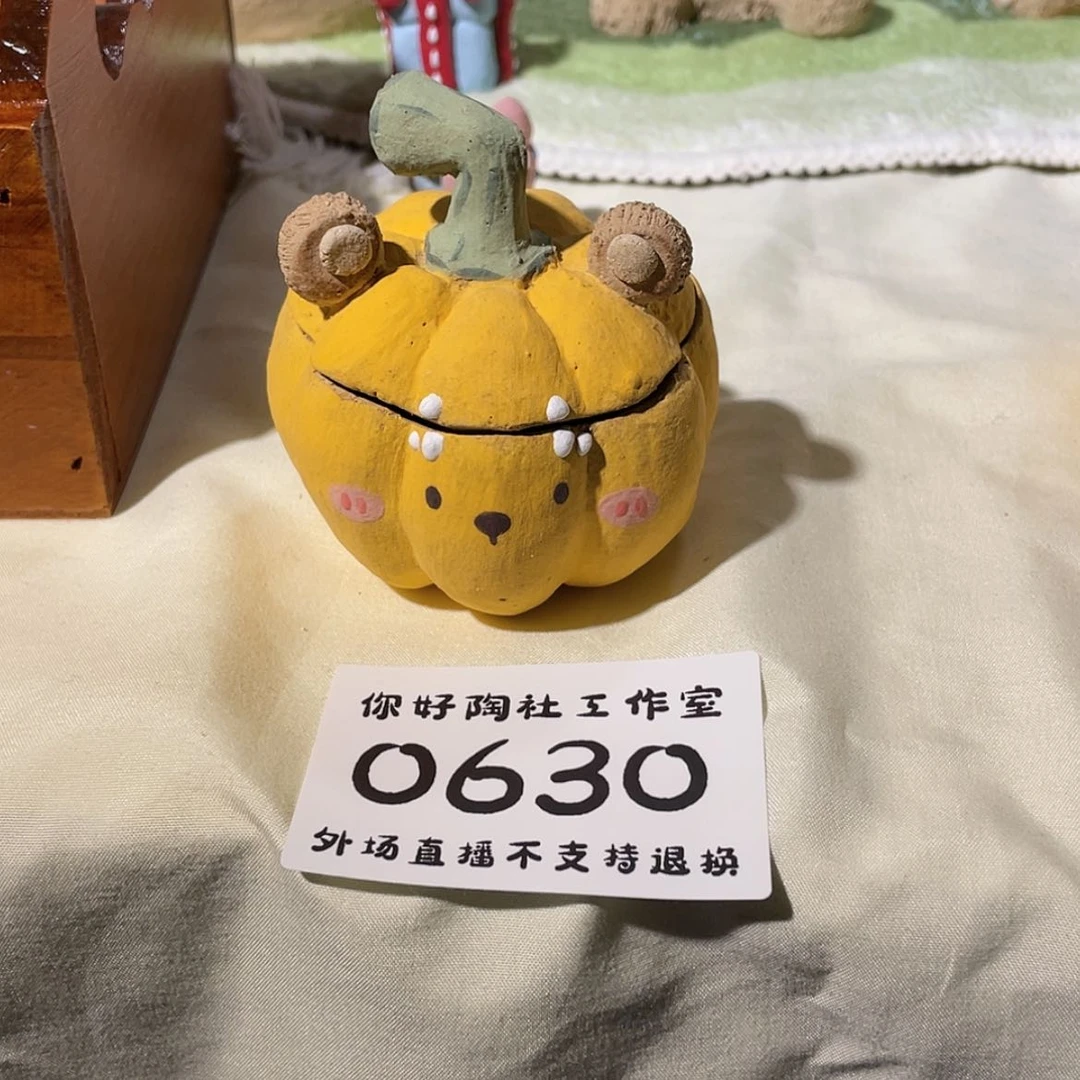 【闪购商品】陶瓷壶柏***?