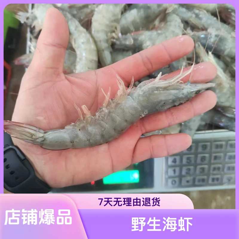 野生新鲜大海虾大虾基围虾青虾鲜对虾青岛速冻海虾虾类海鲜水产