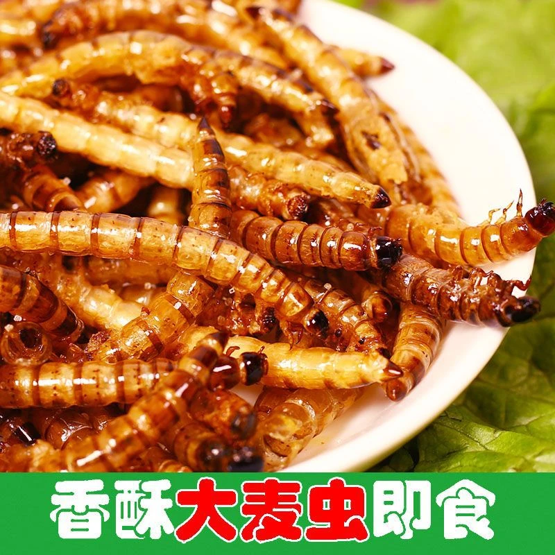 油炸昆虫蚂蚱即食蚕蛹新鲜蝗虫面包虫大麦虫豆虫套餐零食虫子美食