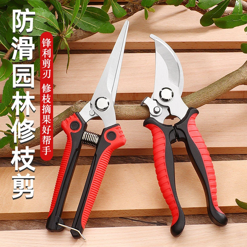 修剪神器园艺剪刀摘水果树枝修花工具盆栽嫁接剪不锈钢果剪果树剪