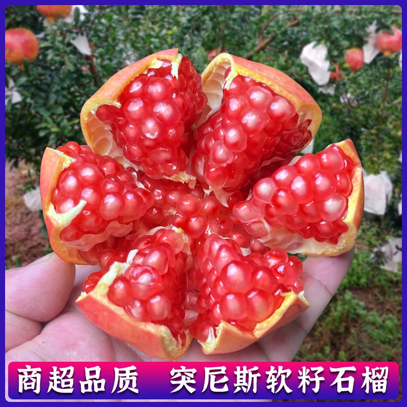 正宗大凉山突尼斯软籽石榴新鲜采摘皮薄多汁当季水果