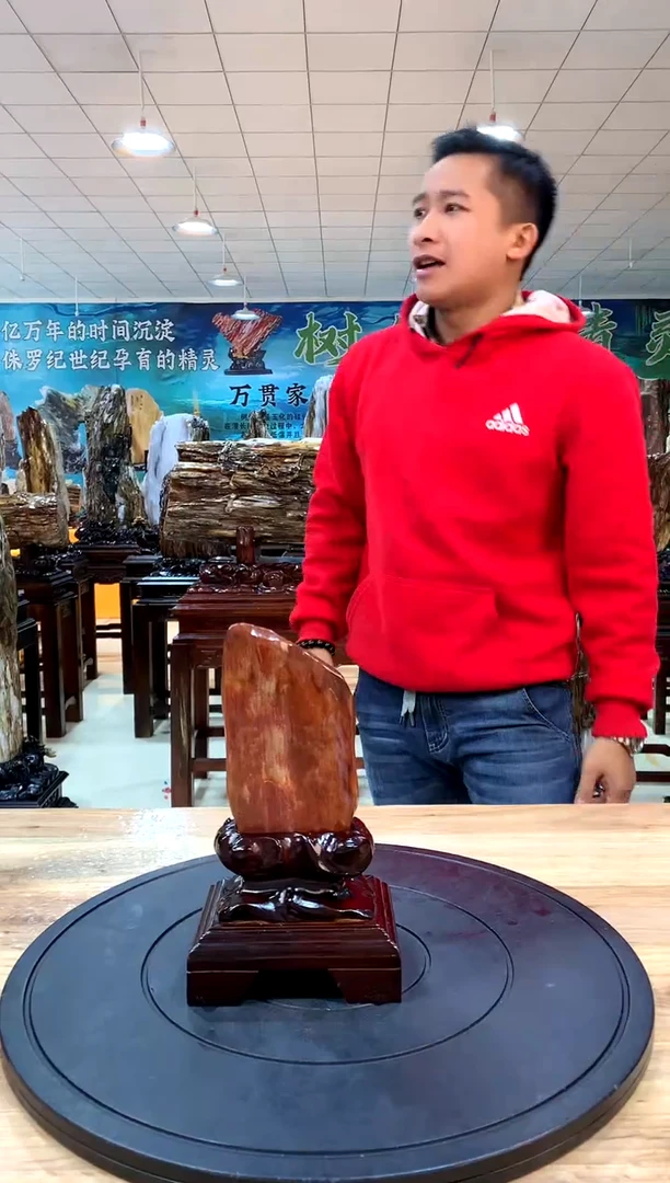 【闪购商品】硅化玉摆件未镶嵌天然树化玉家居摆件拍一发一