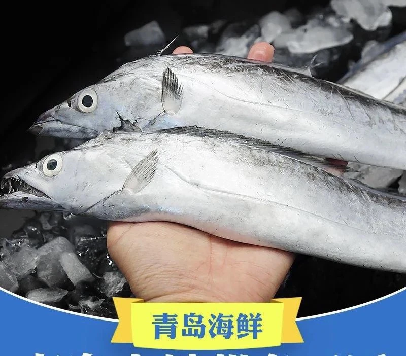 青岛小眼油带鱼刀鱼大号 4斤7-8条 鲜鱼速冻发货