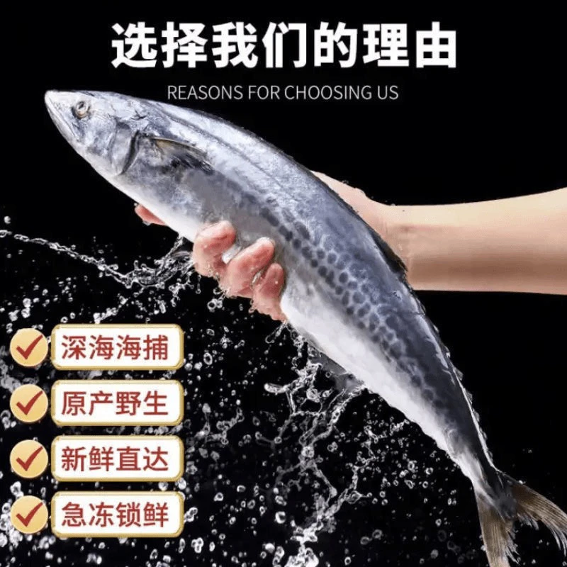 青岛马鲛鱼鲅鱼5斤2条大鲅鱼燕尾鲅新鲜整条鲅鱼馅水饺速冻发货