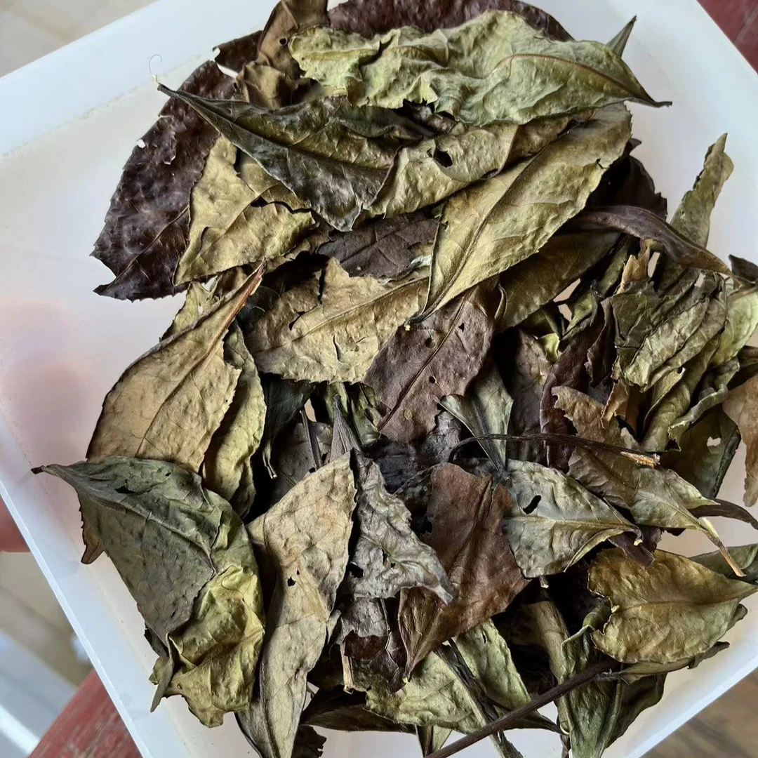 22年荒春大叶 超甜