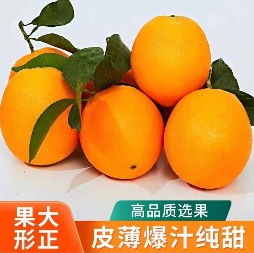 爷爷家的/鹅蛋柑成熟皮薄精选正宗高品重庆