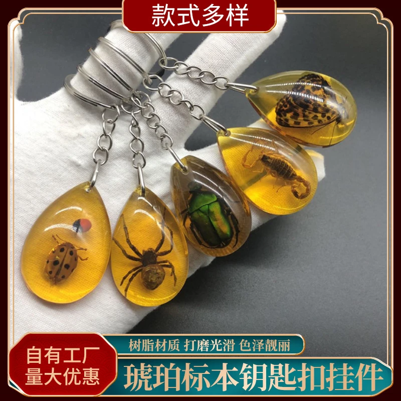 景点纪念品真昆虫标本琥珀钥匙扣挂件小学生挂饰教学饰品