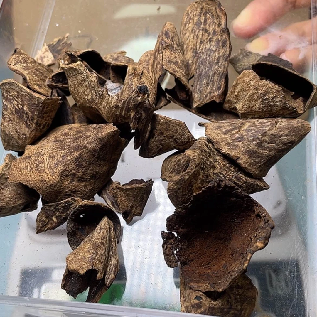 【闪购商品】沉香摆件