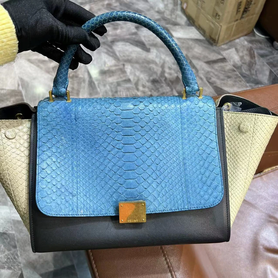 95新  捐金沉珠/思琳/Celine/特殊皮秋千单肩包