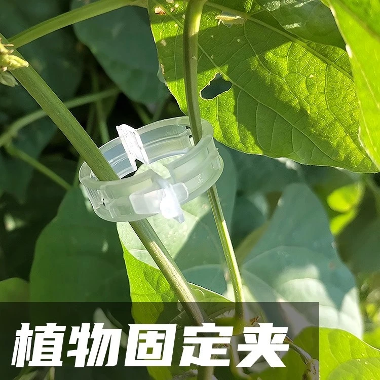 农园种植爬藤落秧扶蔓固定夹蔬菜瓜果卡扣环扣果树绿蔬植物绑蔓夹