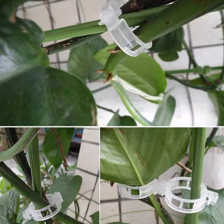 农园种植爬藤落秧扶蔓固定夹蔬菜瓜果卡扣环扣果树绿蔬植物绑蔓夹