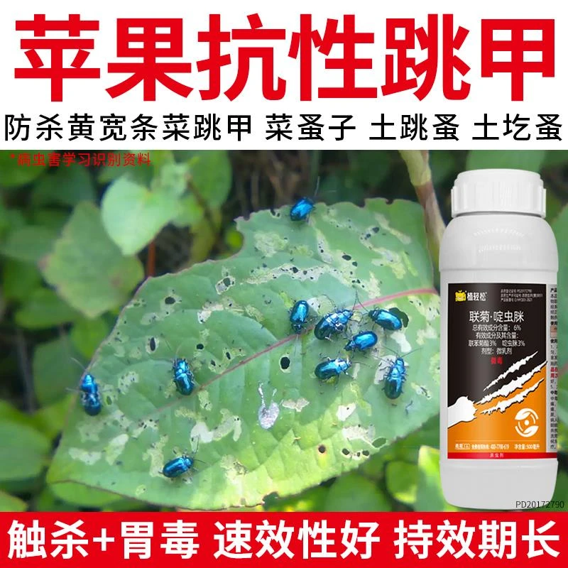 苹果跳甲专用药联菊啶虫脒黄条白粉虱跳蚤抗性跳甲高效农药杀虫剂