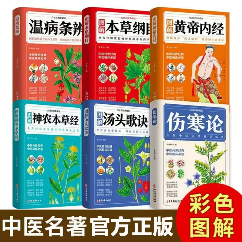 伤寒论正版张仲景原著彩色图解伤寒杂病论白话文自学基础学习