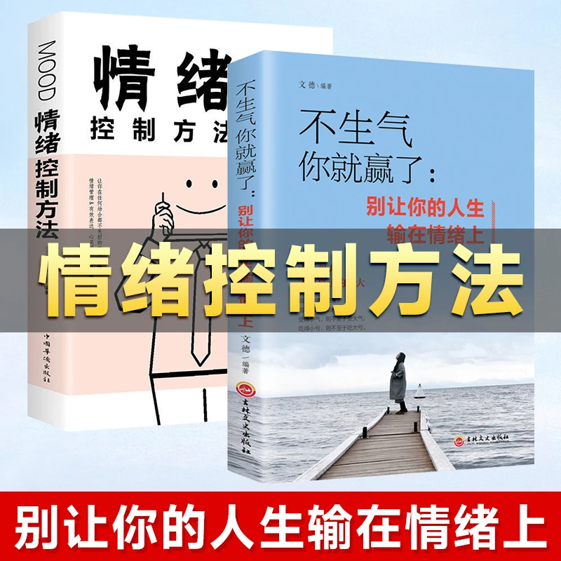 不生气你就赢了别让你的人生输在情绪上提升自控力书籍