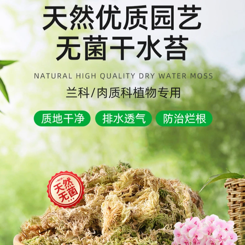 【水苔】150克蝴蝶兰专用培养基质透气开花保湿兰花专用栽培种植
