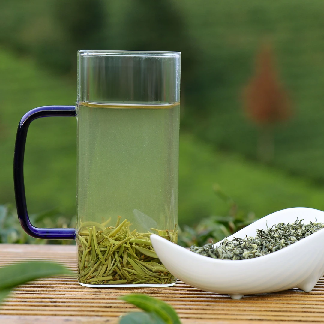 【D39】云雾贡茶都匀毛尖茶叶贵州绿茶精选嫩芽高山浓香贵定鸟王种