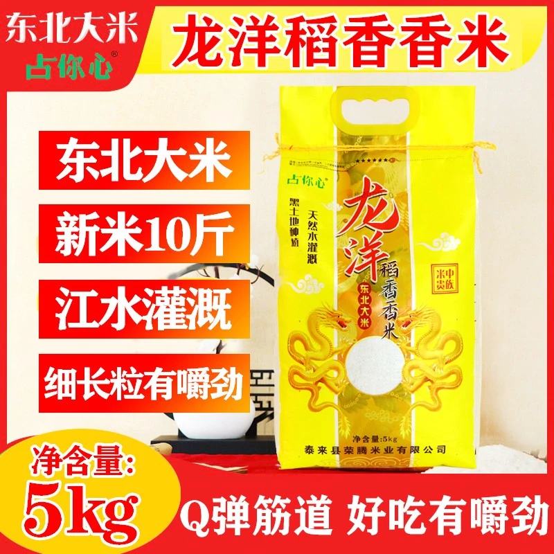 大米5kg 占你心龙洋软糯长粒香米24年新米正宗黑龙江10斤东北大米