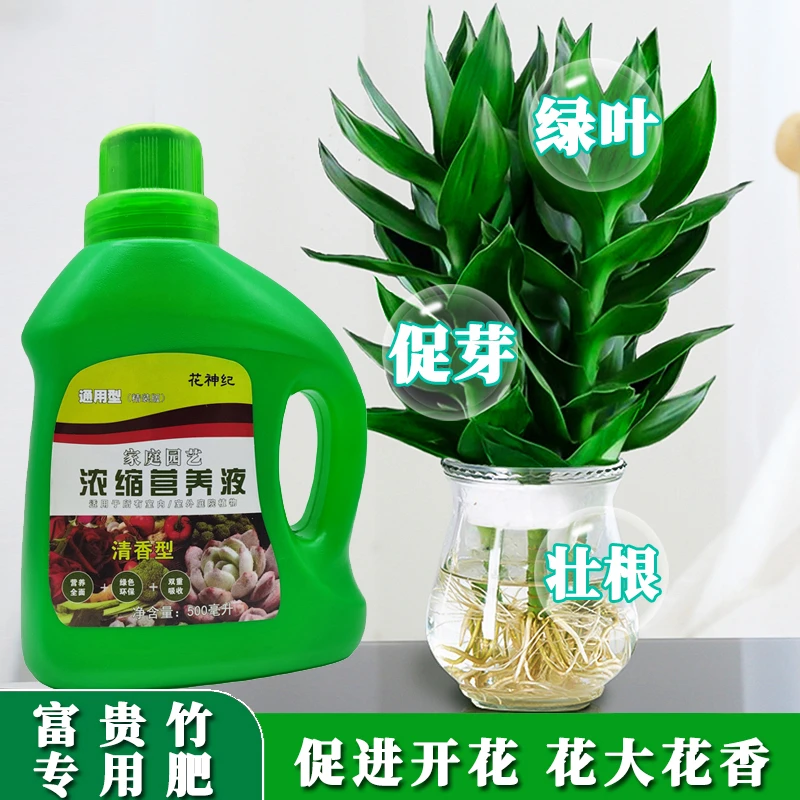富贵竹专用生根液体肥专治黄叶烂根植物营养液通用型家用盆栽花卉