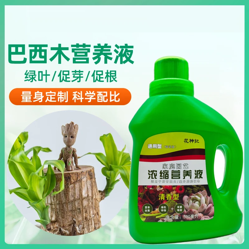 家用水培巴西木营养液植物通用型盆栽巴旦木幸运木枝叶专用肥料