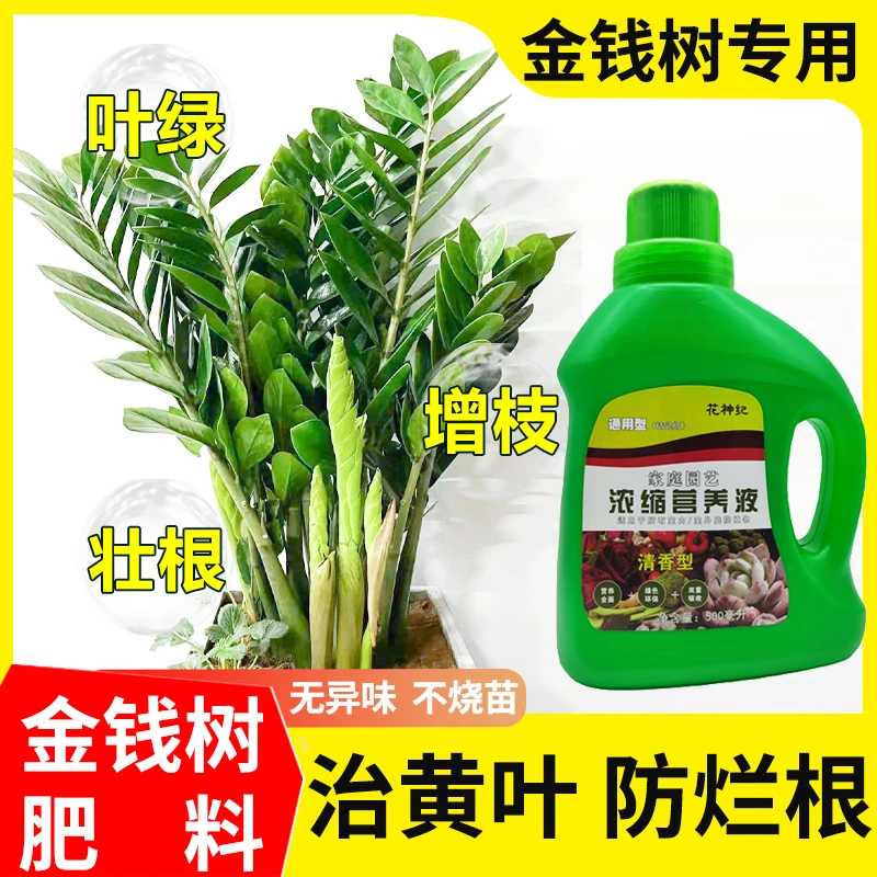 摇钱树专用营养液肥料植物通用家用室内盆栽黄化发财树防黄叶花肥