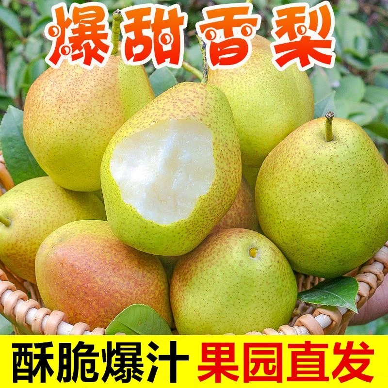 【抢购中】库尔勒红香酥梨1/9斤梨子新疆香梨甜脆酥梨薄皮新鲜水果