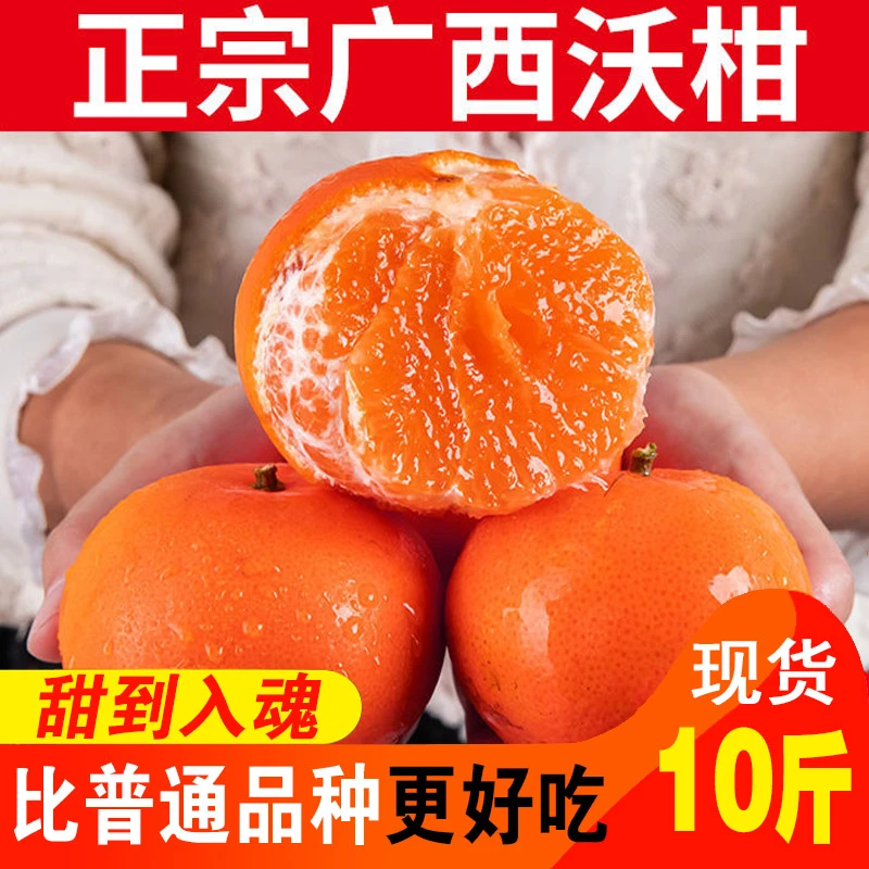 正宗广西武鸣沃柑当季新鲜水果香甜多汁皮薄柑橘桔子高品质5/9斤