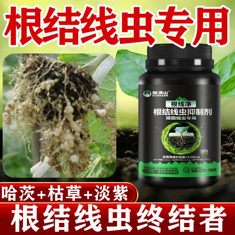 根结线虫专用药根线净淡紫枯草芽孢杆菌蔬菜霉菌根结线瘤克星特效