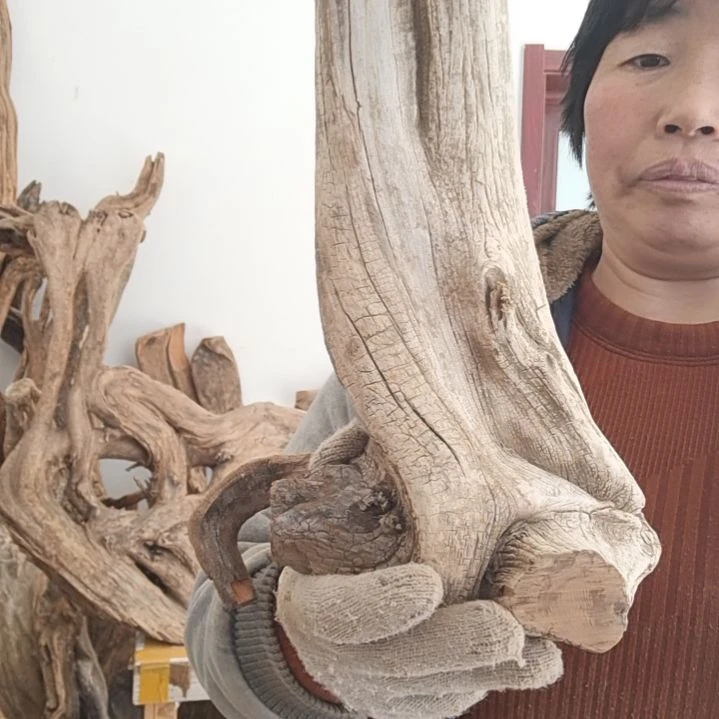 【闪购商品】木根雕家****”