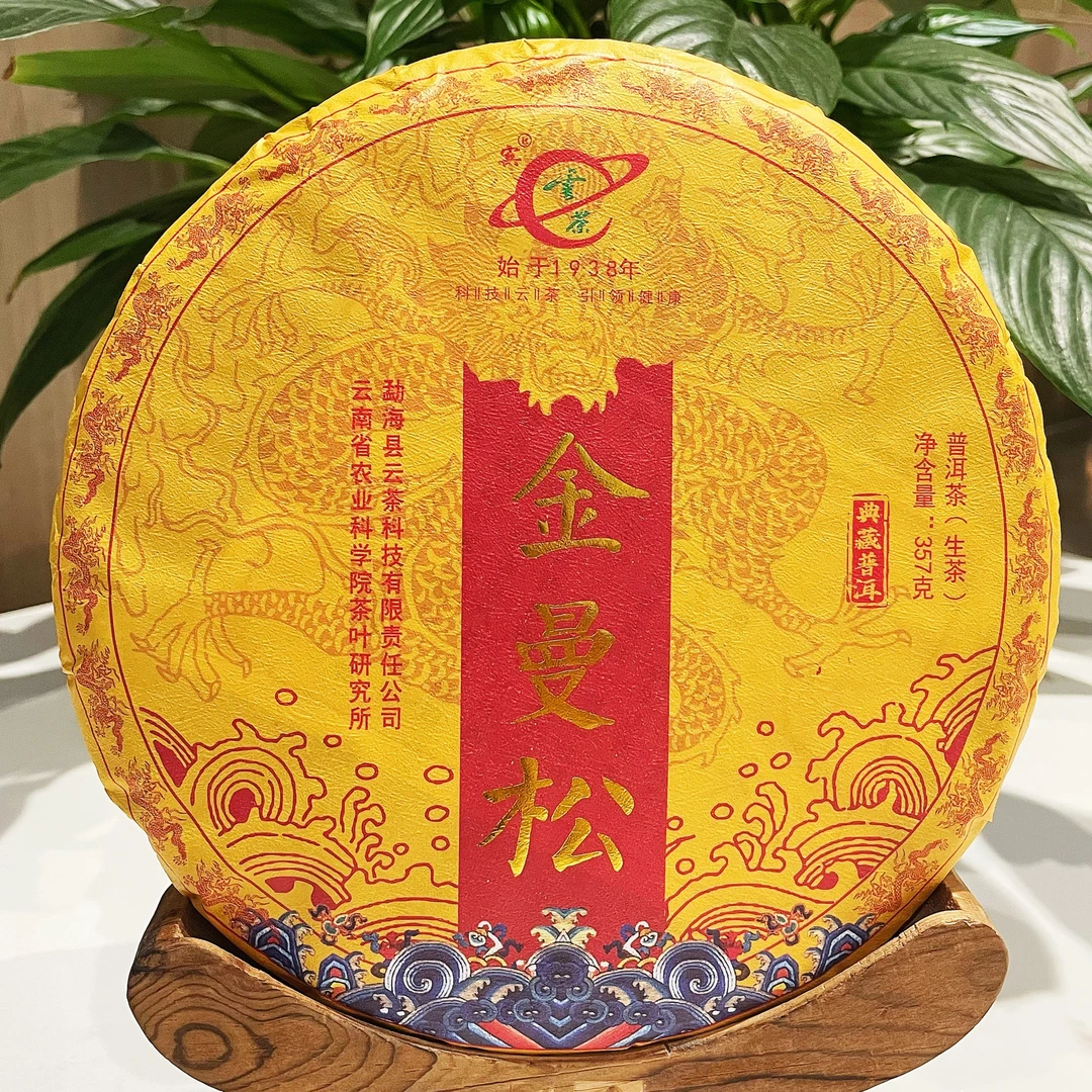 云南云茶金曼松普洱茶生茶正宗普洱生茶叶销售直播品质好茶