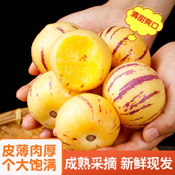 云南石林人参果黄肉圆果新鲜采摘应季水果树上熟超甜黄心大果水果