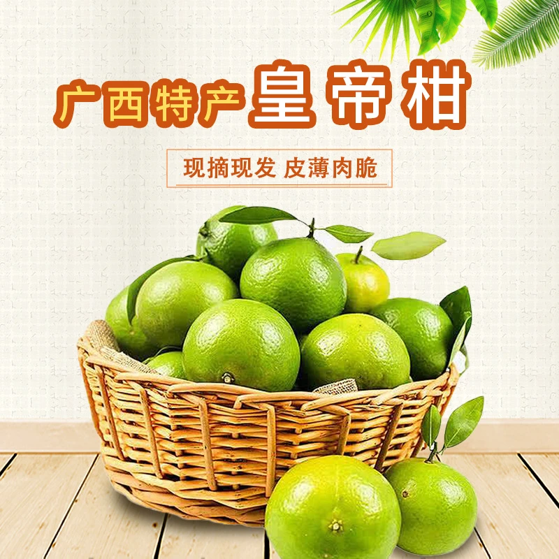 广西柑橘批发新鲜皇帝柑贡柑水果皇帝柑橘蜜桔整箱好吃广西皇特产