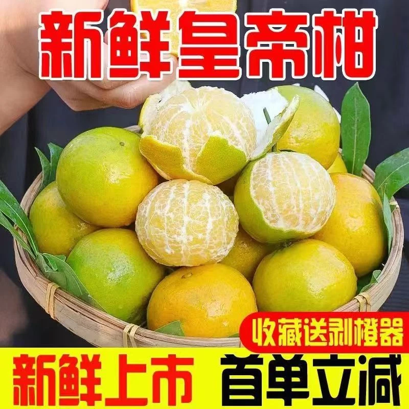 皇帝柑新鲜果贡柑水果柑橘桔子非沃柑蜜桔砂正宗多汁产品送货普通