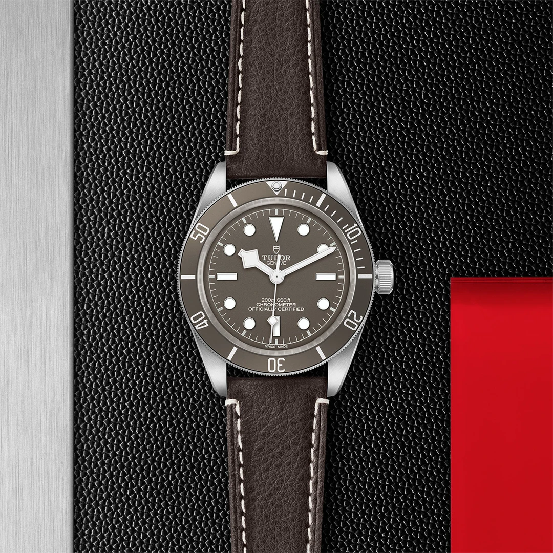 全新未使用 TUDOR/帝舵 碧湾系列/79010/41mm/925银时尚男士腕表