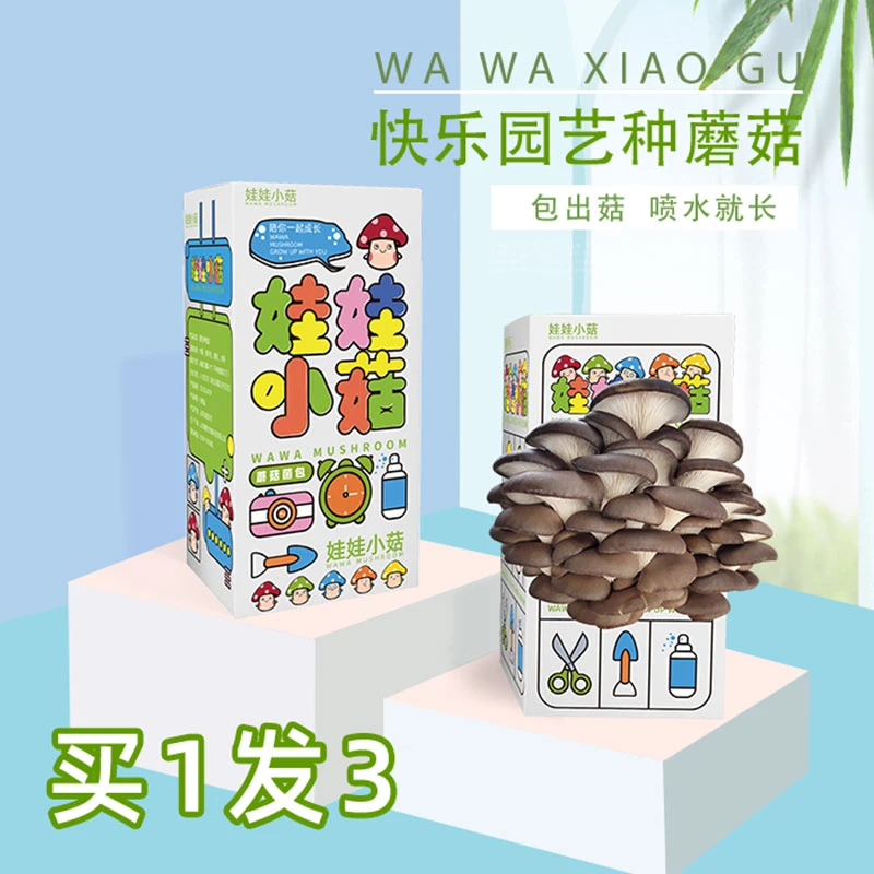 平菇蘑菇种植盒装儿童趣味盆栽菌包阳台包邮食用菌盒子DIY包邮