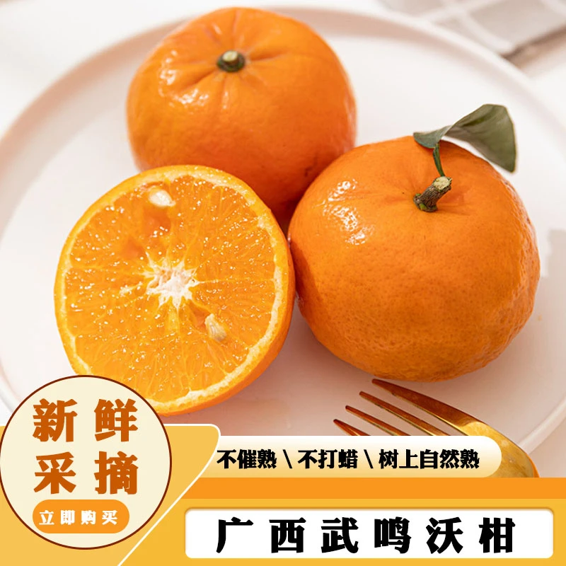 【爆甜多汁】广西武鸣沃柑小花皮5-9斤营养成橙色圆润饱满鲜嫩多汁。