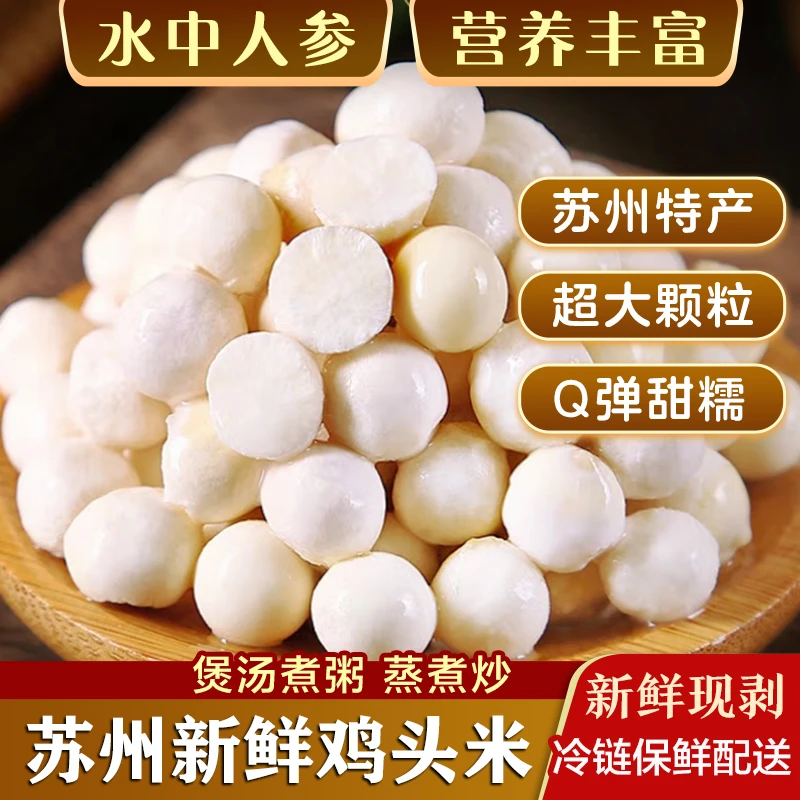 【苏州太湖鸡头米】新鲜采摘手剥芡实农产品Q弹软糯清香炒炖汤中果