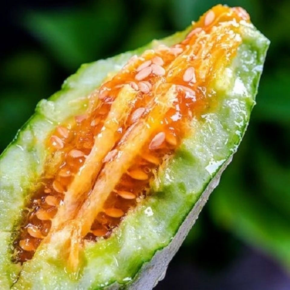 山东博洋61甜瓜（不是普通羊角蜜）新鲜采摘地头三斤五斤包10头茬