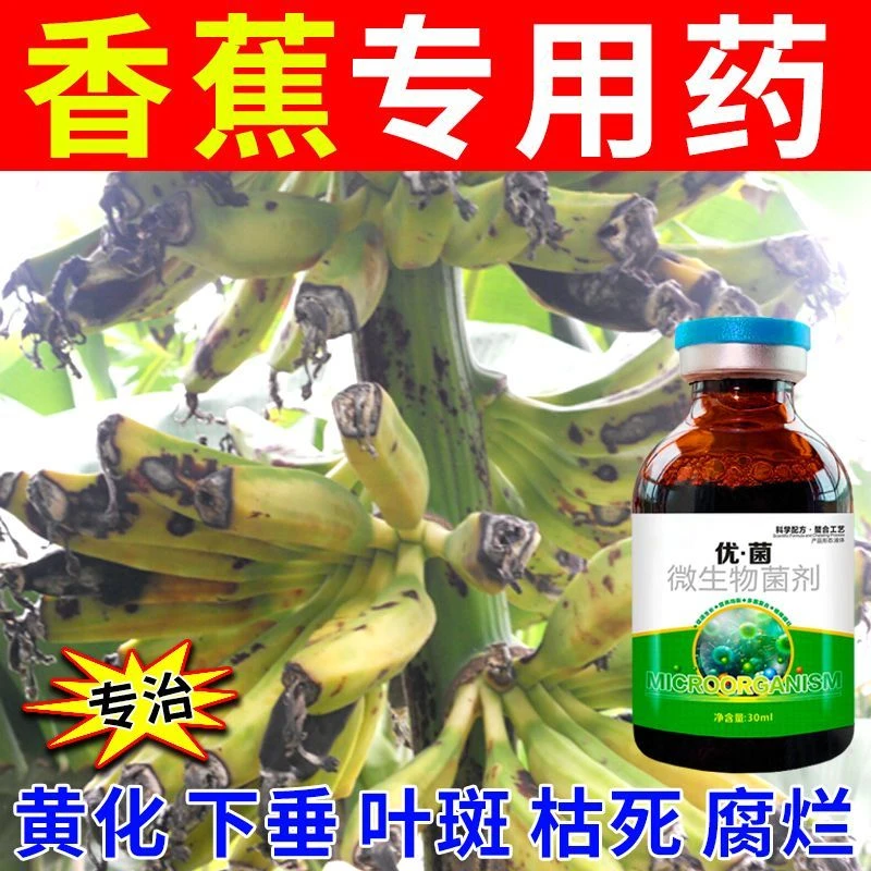 香蕉病全清香蕉病专用农用剂叶斑病束顶病黄叶病枯萎病炭疽病
