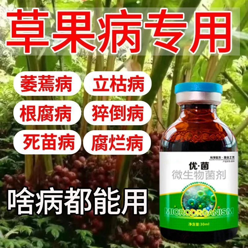 草果专用药草果病全治草果萎蔫病根腐病黄叶立枯猝倒病通用剂